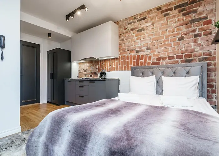 公寓 Dreamstay Avangard - Shared Roof Terrace, High Speed Wifi 200 Mbps & Gym 塔林